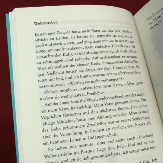 fast_alles_in_ordnung_innen_1_800