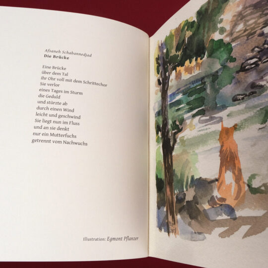 walnussaugen_innen_4_800