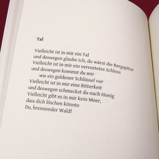 zwischen_zwei_migraenen_2_800