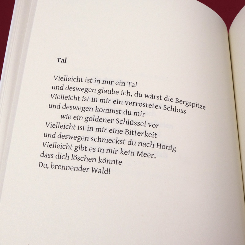 zwischen_zwei_migraenen_2_800