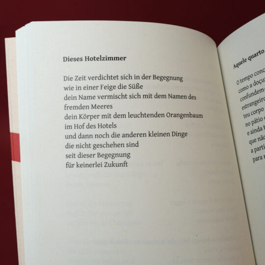 streich_dieses_wort_innen_01