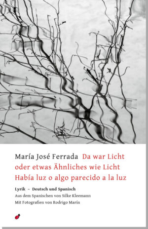 María José Ferrada: Da war Licht  oder etwas Ähnliches wie Licht / Había luz o algo parecido a la luz